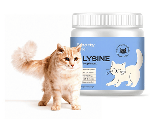 L-Lysine Supplement
